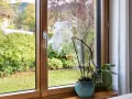 Orchidée blanche sur le rebord d'une fenêtre en bois, avec un jardin verdoyant à l'extérieur. L'atténuation dB du bruit extérieur est notable.