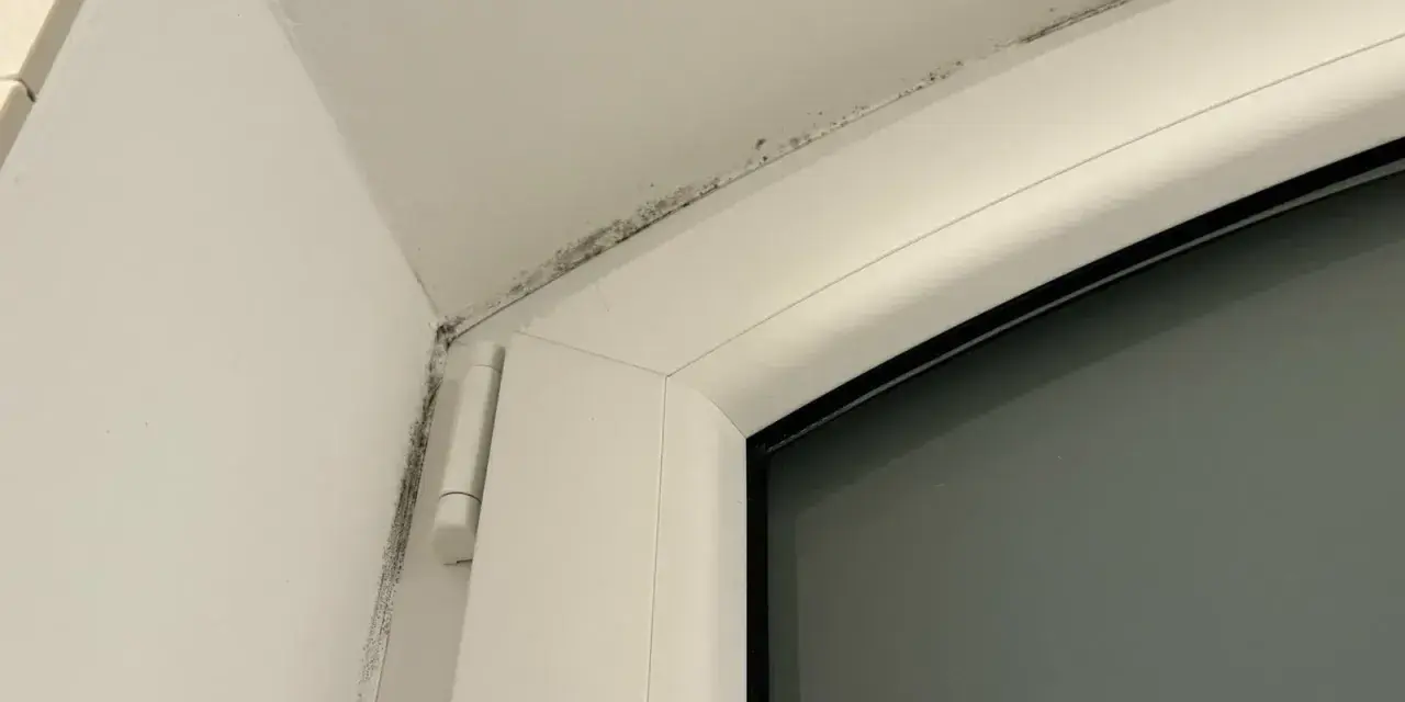 Moisissure noire le long du cadre d'une fenêtre, signe d'un pont thermique fenetre.