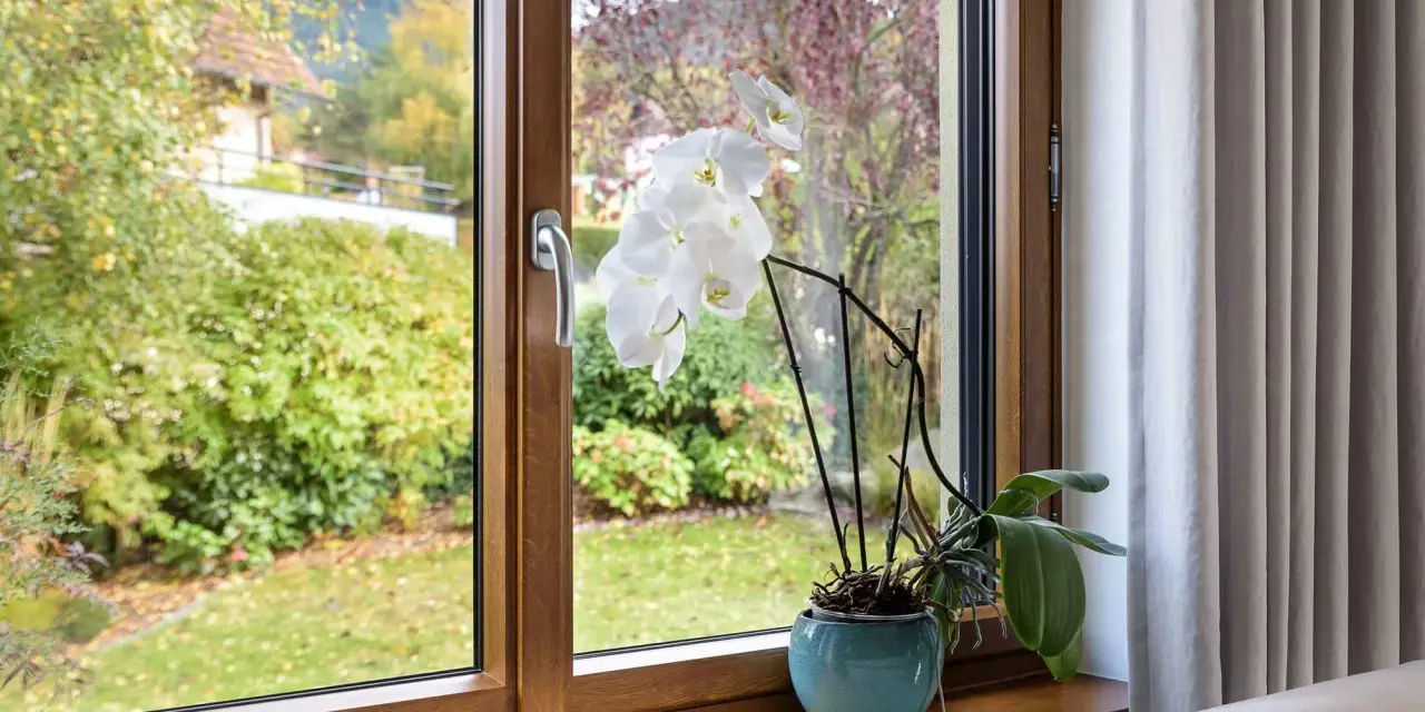 Orchidée blanche sur le rebord d'une fenêtre en bois, avec un jardin verdoyant à l'extérieur. L'atténuation dB du bruit extérieur est notable.