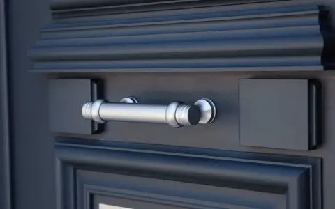 Barre de tirage porte d'entrée en argent, avec un design élégant. Son fonctionnement est simple et intuitif pour ouvrir la porte.