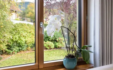 Orchidée blanche sur le rebord d'une fenêtre en bois, avec un jardin verdoyant à l'extérieur. L'atténuation dB du bruit extérieur est notable.
