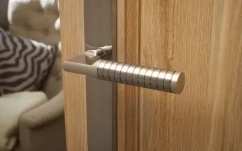 Poignée de porte d'entrée en métal brossé, au design moderne avec un manche texturé, fixée sur une porte en bois clair.