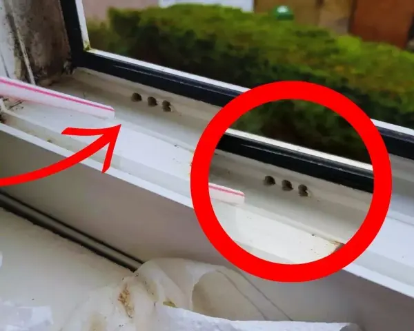 Petite paille rose pointant vers des trous d'évacuation d'eau sur une fenêtre en PVC. Ces trous sont essentiels pour le bon drainage.