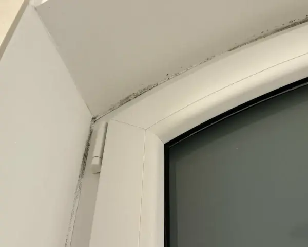 Moisissure noire le long du cadre d'une fenêtre, signe d'un pont thermique fenetre.