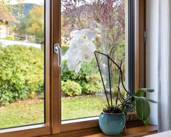 Orchidée blanche sur le rebord d'une fenêtre en bois, avec un jardin verdoyant à l'extérieur. L'atténuation dB du bruit extérieur est notable.