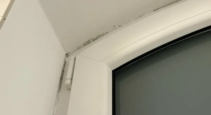 Moisissure noire le long du cadre d'une fenêtre, signe d'un pont thermique fenetre.