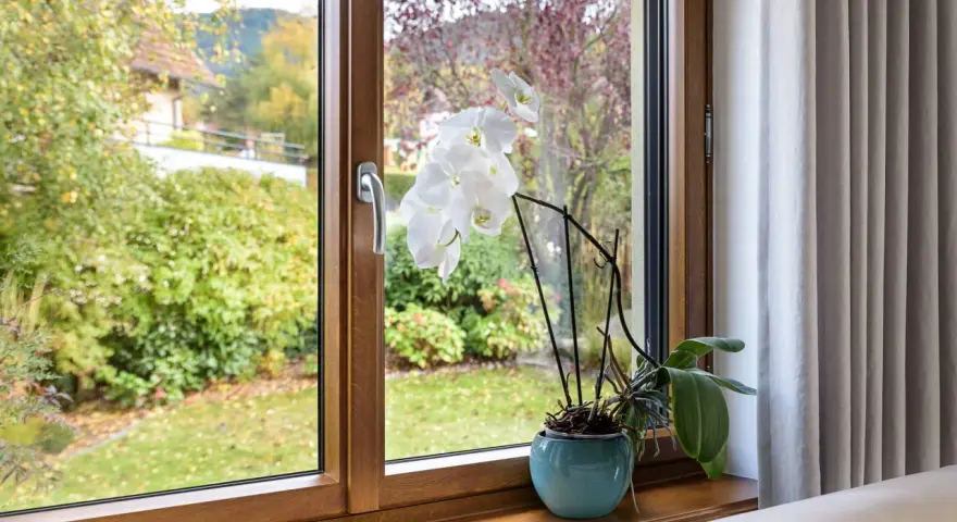Orchidée blanche sur le rebord d'une fenêtre en bois, avec un jardin verdoyant à l'extérieur. L'atténuation dB du bruit extérieur est notable.