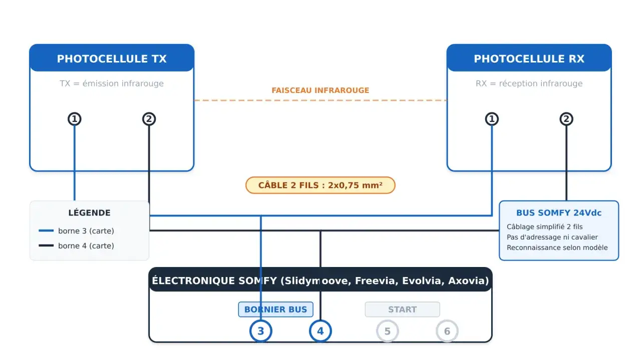 Sch&eacute;ma du fonctionnement portail automatique : &eacute;metteur et r&eacute;cepteur infrarouges reli&eacute;s &agrave; une &eacute;lectronique Somfy via un bus 24Vdc.