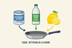 Nettoyer inox avec bicarbonate de soude, vinaigre blanc et citron pour un nettoyage de cuisine efficace.