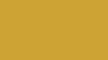 Un fond uni d'un jaune ocre profond, évoquant la richesse d'un ral laiton doré.