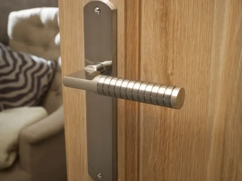 Poignée de porte d'entrée en métal brossé, au design moderne avec un manche texturé, fixée sur une porte en bois clair.